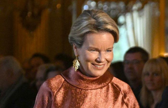 La reina Mathilde brilla con un traje cobrizo de Natan