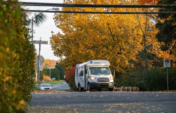 2025, ¿el año del transporte público en Brome-Missisquoi?