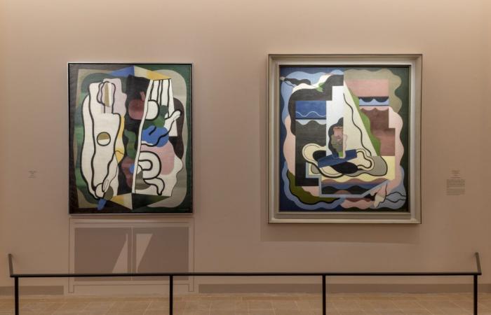 Un cuadro encontrado en un sótano en 1962 en Italia podría ser un Picasso valorado en 6 millones de euros