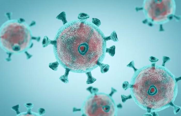 Un virus vinculado al Ébola resurge y causa muertes