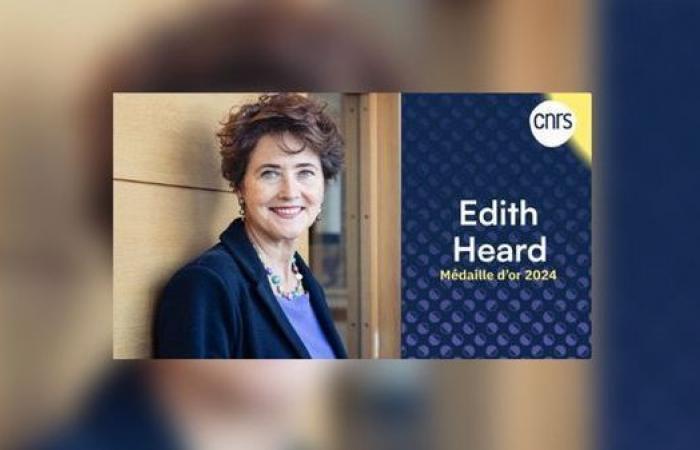 ¿Quién es Edith Heard, bióloga especializada en epigenética, medallista de oro del CNRS?