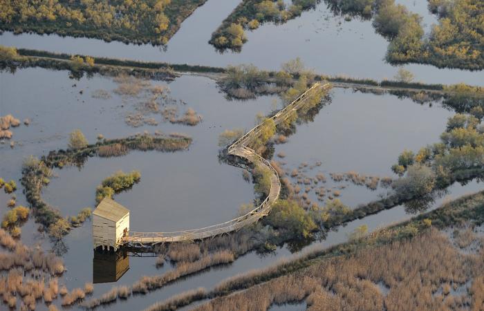 5 buenos planes para celebrar la ciencia en el Gard