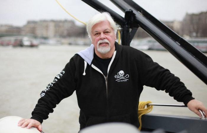 Detención de Paul Watson extendida hasta el 23 de octubre