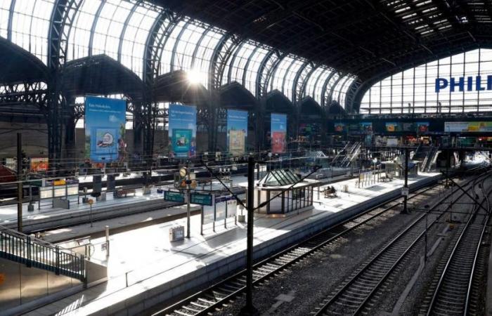 Los pasajeros que “sufren un virus mortal sin cura” provocan el cierre de la estación de tren