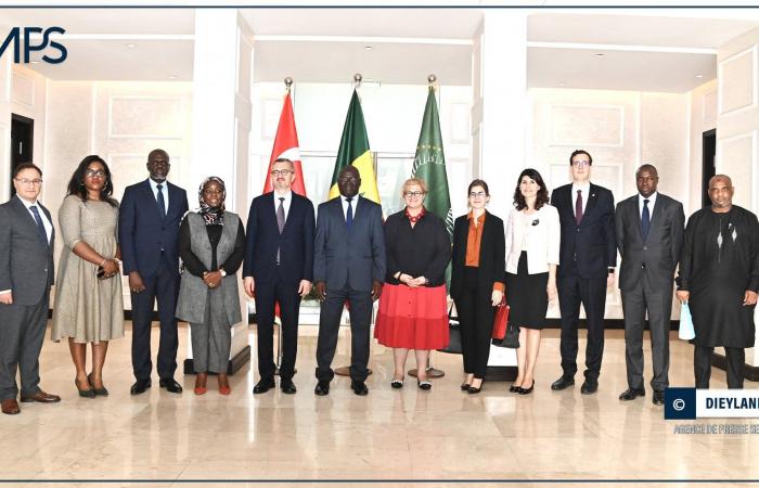 COOPERACIÓN SENEGAL-TURQUÍA / El comercio entre Dakar y Ankara aumenta de 42,5 mil millones de FCA en 2010 a 185 mil millones de FCA en 2023 (oficial) – agencia de prensa senegalesa