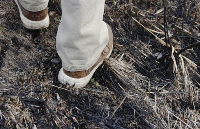 El largo camino de los incendios culturales en el Yukón