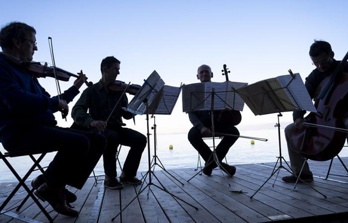 El festival Quatuor Sine Nomine se implica con el clima