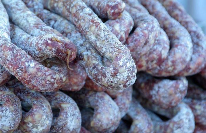 Presencia de salmonella en embutidos retirados de su venta en toda Francia