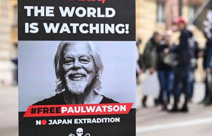 Tierra Verde. Se prorroga nuevamente la detención de Paul Watson, pese a la presión internacional