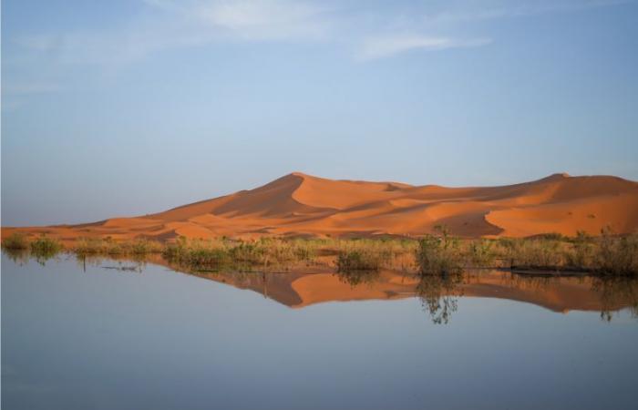 Fotos. Merzouga, un oasis inesperado tras unas lluvias excepcionales