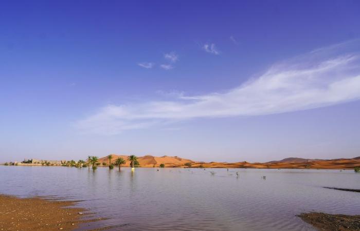 Fotos. Merzouga, un oasis inesperado tras unas lluvias excepcionales