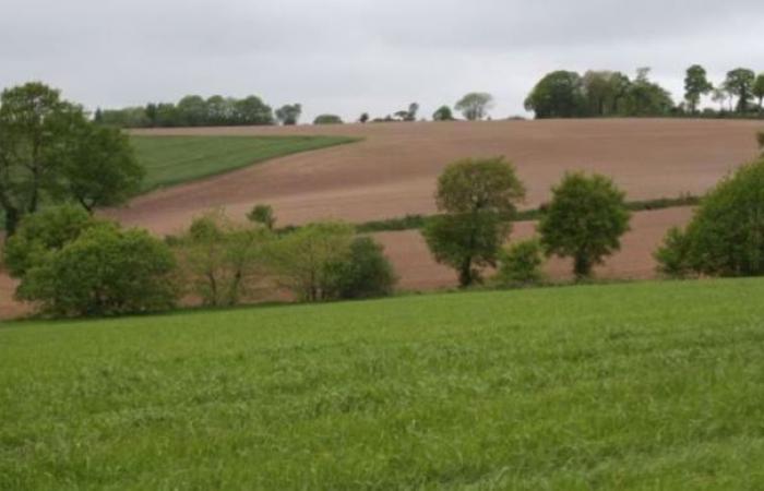 El precio de la tierra agrícola aumenta un 1,6% en Francia