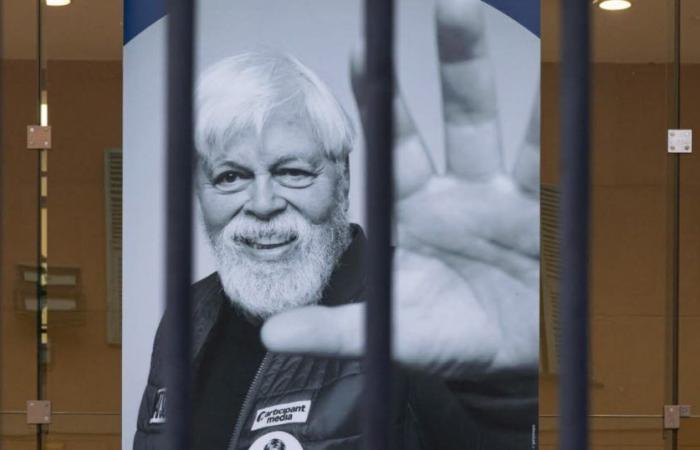 Tierra Verde. Se extiende nuevamente la detención del defensor de las ballenas Paul Watson