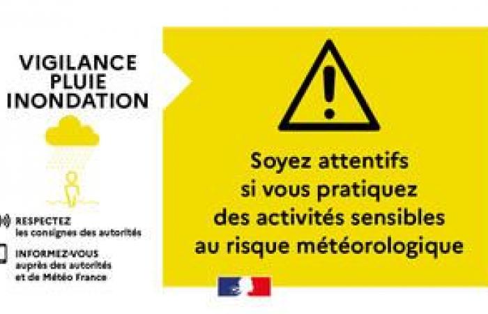 SMS de Vigilancia Amarillo “lluvias e inundaciones” el 09/03 de 4 a 16 horas – Vigilancia meteorológica – Riesgos naturales – Prevención de riesgos – Transición ecológica, medio ambiente y prevención de riesgos – Actuaciones del Estado