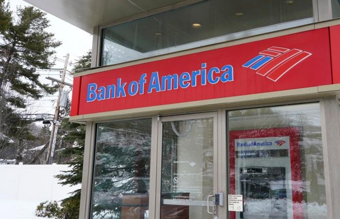 Interrupción del Bank of America: cuentas no disponibles, saldos cero