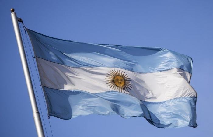 Con Colapinto como titular, Argentina sueña con volver a la F1