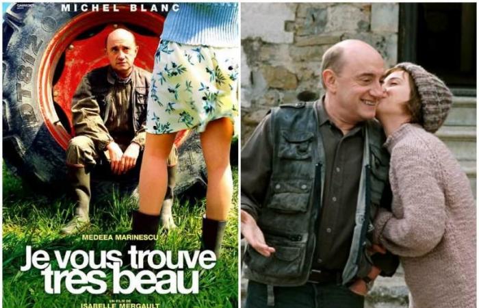 Comentario cinematográfico de Michel Blanc: Les Tanzés, Marche à L’ombre, Evening Wear, Grosse Fatigue…