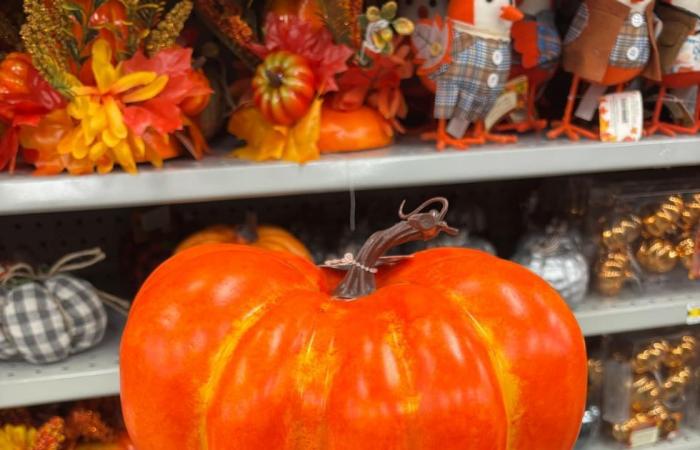 13 artículos económicos de Halloween en Dollarama para decorar tu hogar con estilo