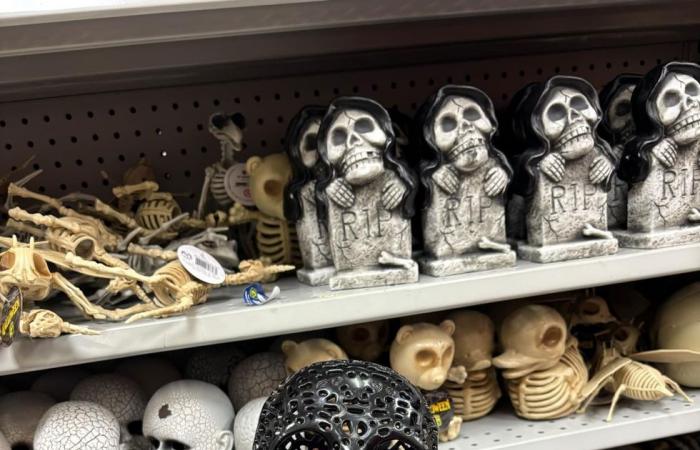 13 artículos económicos de Halloween en Dollarama para decorar tu hogar con estilo