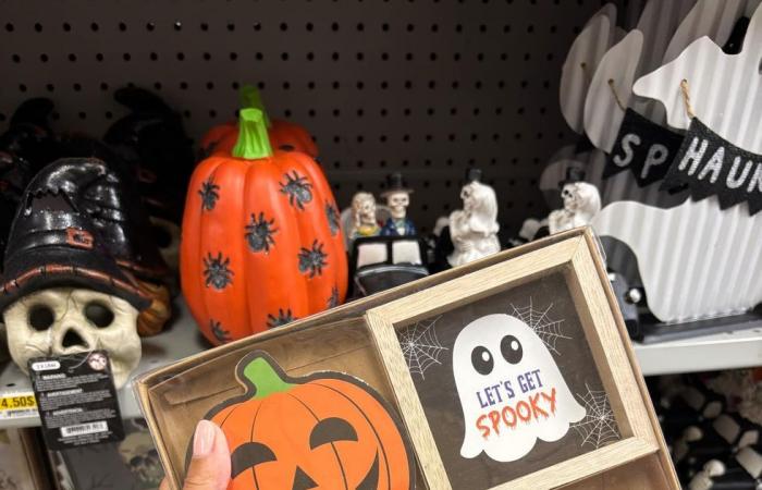 13 artículos económicos de Halloween en Dollarama para decorar tu hogar con estilo