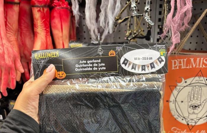 13 artículos económicos de Halloween en Dollarama para decorar tu hogar con estilo