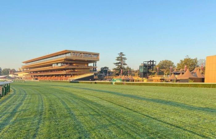 Terreno blando previsto para el Prix de l’Arc de Triomphe