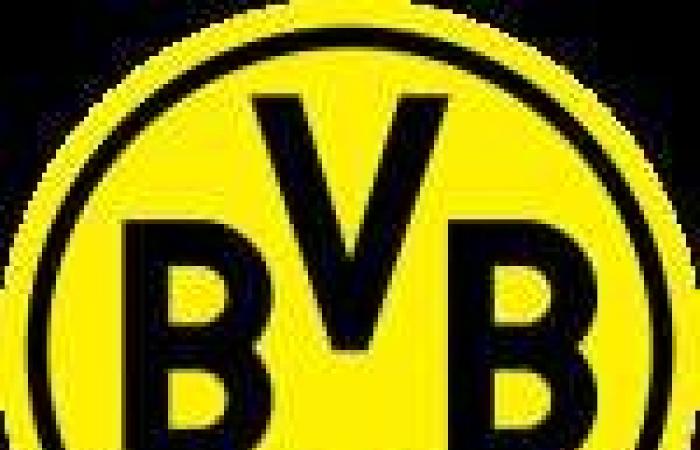 Leverkusen y Dortmund flaquean, el Bayern se frota las manos – Bundesliga – J6