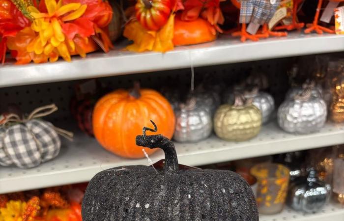 13 artículos económicos de Halloween en Dollarama para decorar tu hogar con estilo