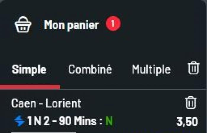 Ligue 2 (J8, predicción): ¿Conquistar a los clubes bretones el sábado a las 14 h?