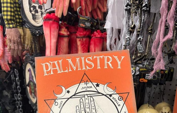 13 artículos económicos de Halloween en Dollarama para decorar tu hogar con estilo