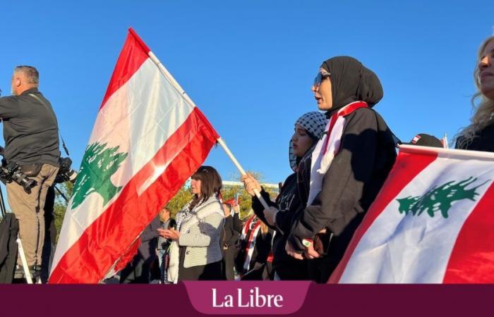 En la capital árabe de Estados Unidos es difícil elegir entre Trump y Harris: “Nuestra sangre no es barata”