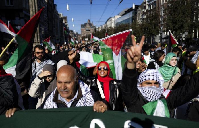 En apoyo a Gaza y el Líbano, miles de personas marchan desde Francia hasta Sudáfrica