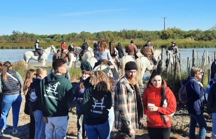 Vamos a la fiesta votiva de Aigues-Mortes, una de las más prestigiosas del Gard.