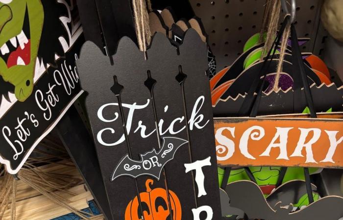 13 artículos económicos de Halloween en Dollarama para decorar tu hogar con estilo