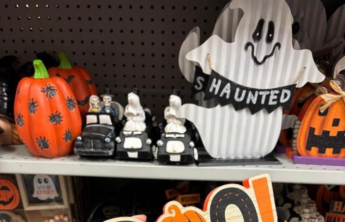 13 artículos económicos de Halloween en Dollarama para decorar tu hogar con estilo