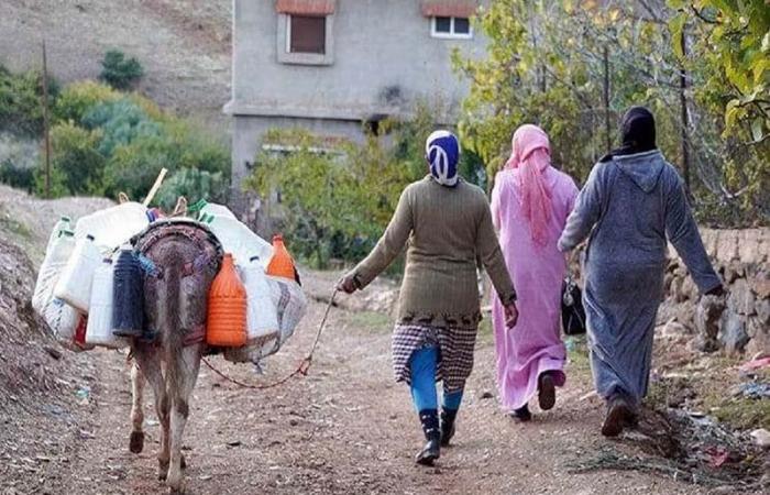 La inclusión de las mujeres en el medio rural es una batalla en curso.