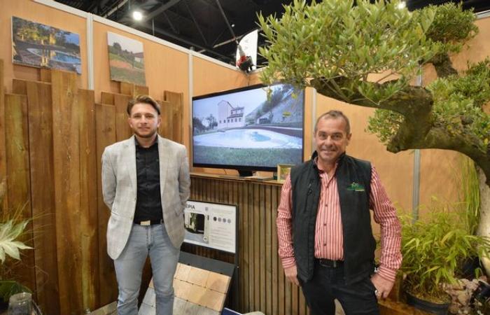 un chapuzón en las instalaciones al aire libre y las piscinas tipo laguna