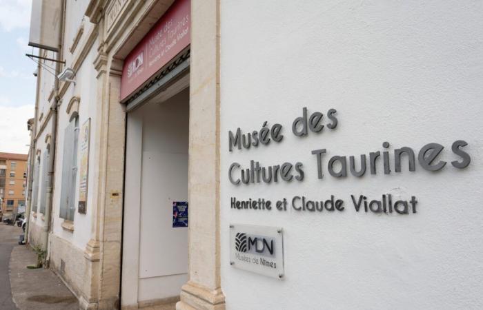 En Nimes, un museo único en Francia, dedicado al toro