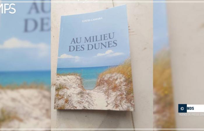 SENEGAL-EDICIÓN DE LITERATURA / “En medio de las dunas”, una novela sobre las aventuras de la vida de un perro y su amo – Agencia de Prensa Senegalesa