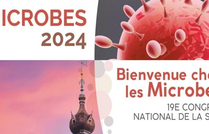 Microbios 2024, ¡allá vamos!