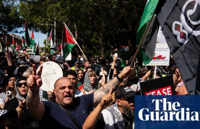 ‘Sólo queremos paz’: ira y dolor mientras miles de manifestantes pro palestinos se manifiestan en toda Australia