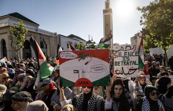 Gran marcha en apoyo a los palestinos por el aniversario del 7 de octubre