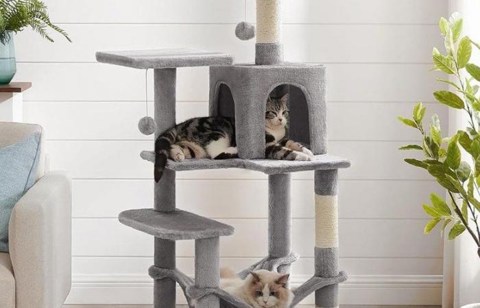 Amazon por fin ofrece este árbol para gatos a precio reducido, es hora de complacer a tu felino