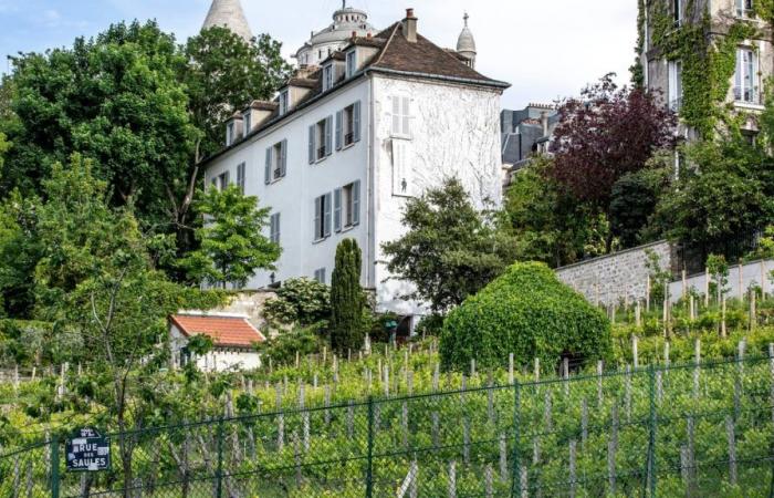 4 razones para no perderse la Fiesta de la Vendimia de Montmartre