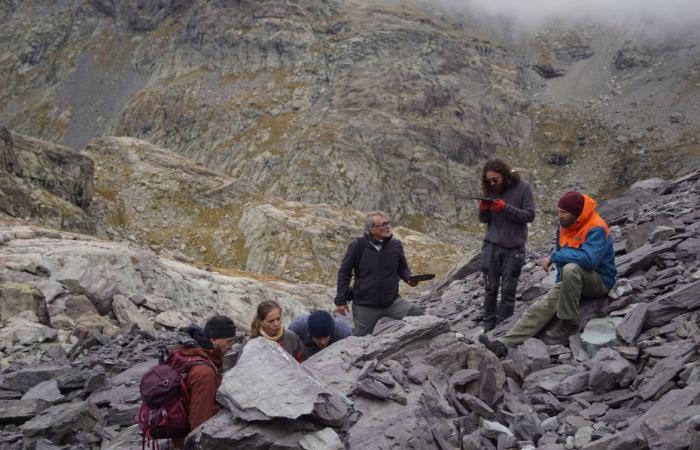 Descubren fósiles más antiguos que los dinosaurios en los Alpes Marítimos