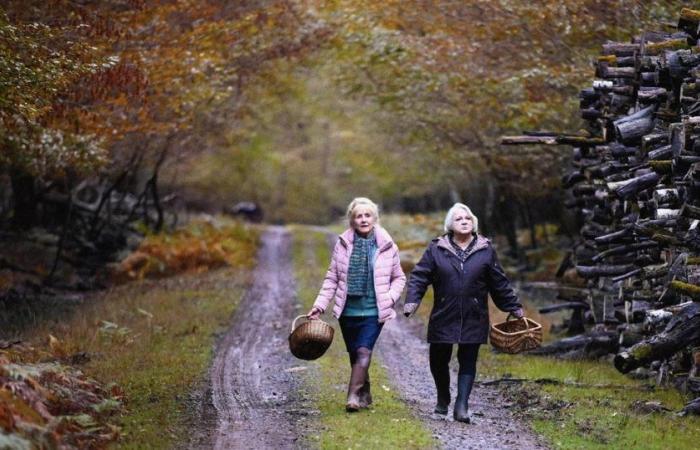 “Cuando llegue el otoño”, un lanzamiento emotivo iluminado por Hélène Vincent – ​​​​rts.ch