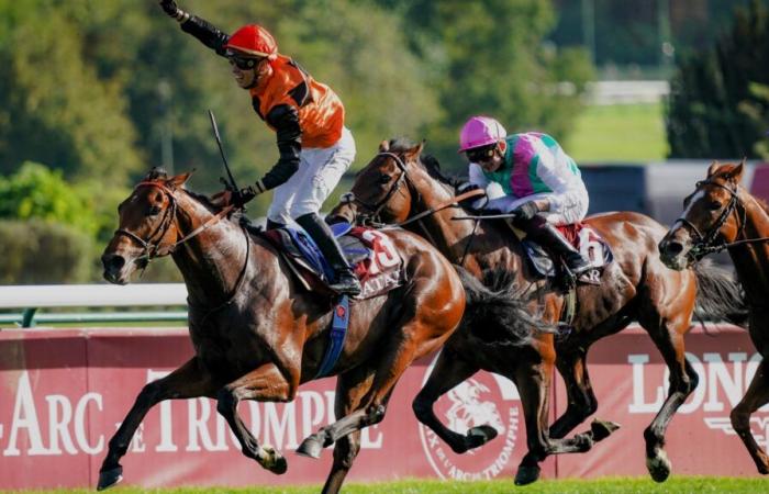 Predicción Prix de l’Arc de Triomphe 2024 • 4 bases Quinté en PMU