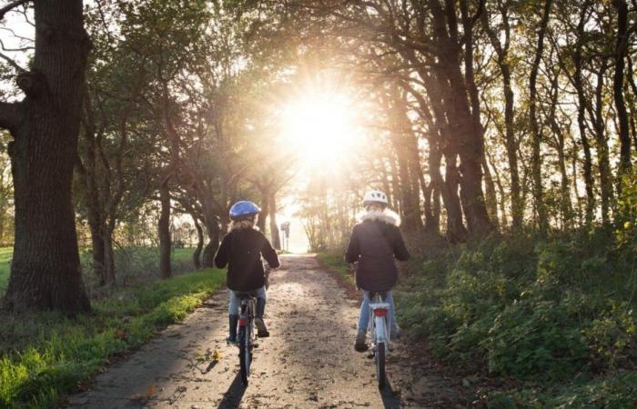 Las mejores aplicaciones para tus paseos en bicicleta