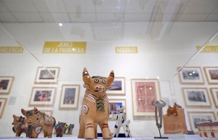 En Nimes, un museo único en Francia, dedicado al toro