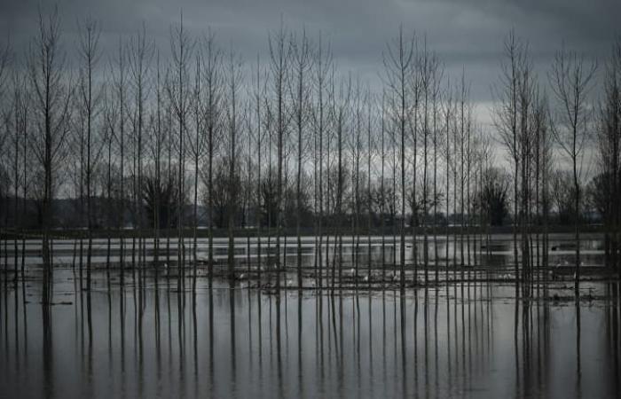 Météo France pone tres departamentos en vigilancia naranja